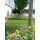 Blumenwiese "Unter Bäumen"